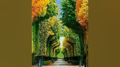 ما تيسر من سورة النساء الاخ عبد الرزاق زعتر