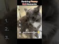 😼🏆 Ranking the Most Hilarious Cat Moments 🤣