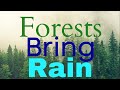 Forests bring rain