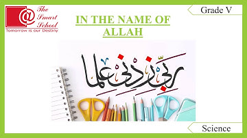 Grade 5 Chapter: Soil (Chapter Review)