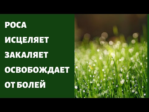 Роса утренняя не только закалка ! Выявляет скрытые проблемы ...