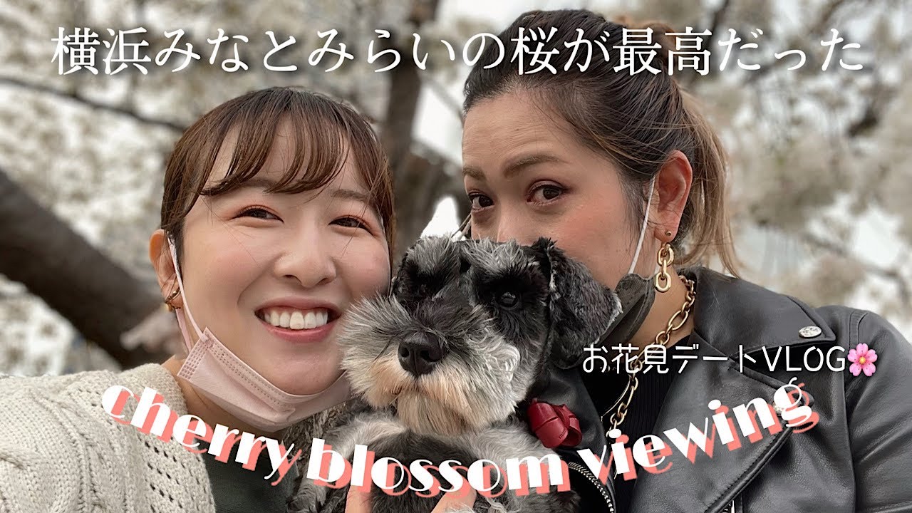 お花見 彼女と愛犬と春の横浜デートしたら最高に幸せだった 同性カップル 218 Youtube
