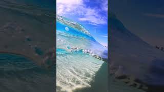 Underwater world | 4K Wallpaper | HD quality