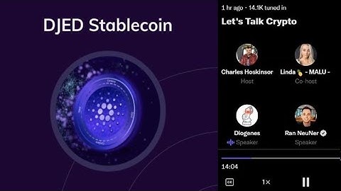 Asking Charles Hoskinson About Djed & The Fall of Luna/Anchor | Djed Algorithmic StableCoin Details!