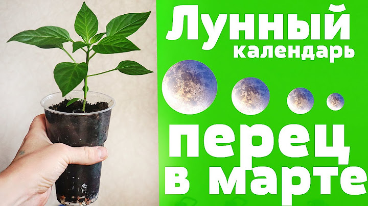 В какие числа сажать перец в марте по лунному календарю чтобы рос без проблем?