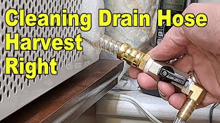 Cleaning the Harvest Right Drain Hose