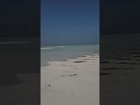 عبرت الشط على مودك وخليتك على راسي بكل غطه أحس بالموت وبقوه أشهق أنفاسي وسميتك أعز ناسي