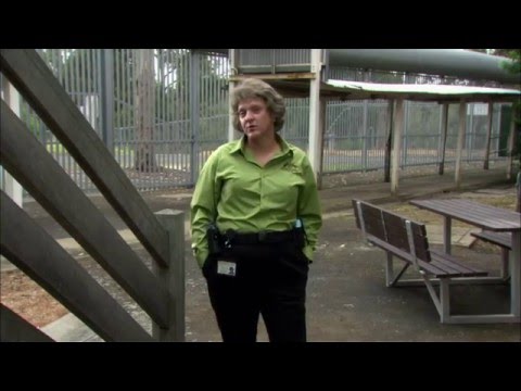 Angry Boys (DELETED SCENE) - Gran - diverse inmates