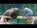 Мансур с Андреем на новой игровой площадке🤗🐻/Bear Mansur