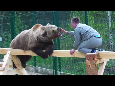 Видео: Мансур с Андреем на новой игровой площадке🤗🐻/Bear Mansur