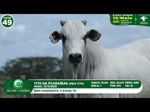 LOTE 49   FBLP 1770