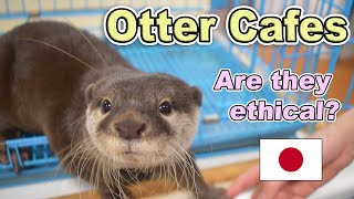 NEVER Visit Otter Cafes in Japan?