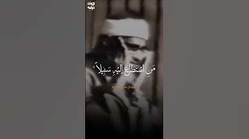 تلاوة نادرة ستذيب قلبك من شدة الخشوع للشيخ المنشاوي #تلاوة_خاشعة #محمد_صديق_المنشاوي