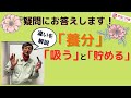 【バラ】知れば育て方がわかる！「養分を吸う」と「養分を貯める」の違いを解説。