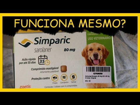 Video: Werkzaamheid Van Sarolaner (Simparic ™) Tegen Geïnduceerde Infestaties Van Amblyomma Cajennense Bij Honden