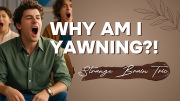Why Do We Yawn? The Weird Science Behind Contagious Yawning 😮💤