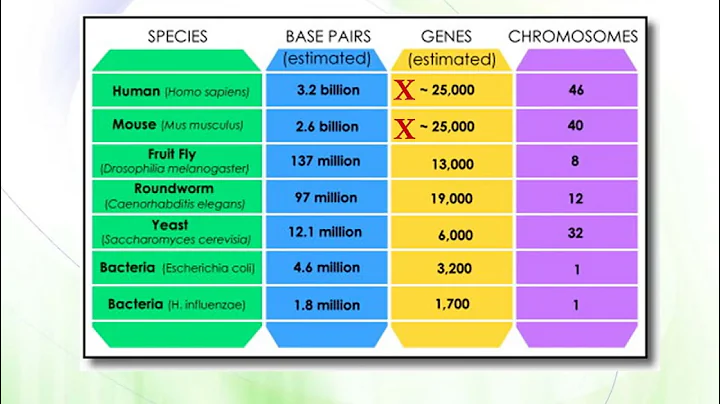 BioM04 Molecular Biology 2020 2021 The human genome - DayDayNews