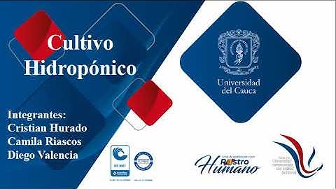 Cultivo hidropónico automatizado parte 1