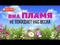 ВИА Пламя - Не покидает нас весна (Альбом 1981) | Русская музыка