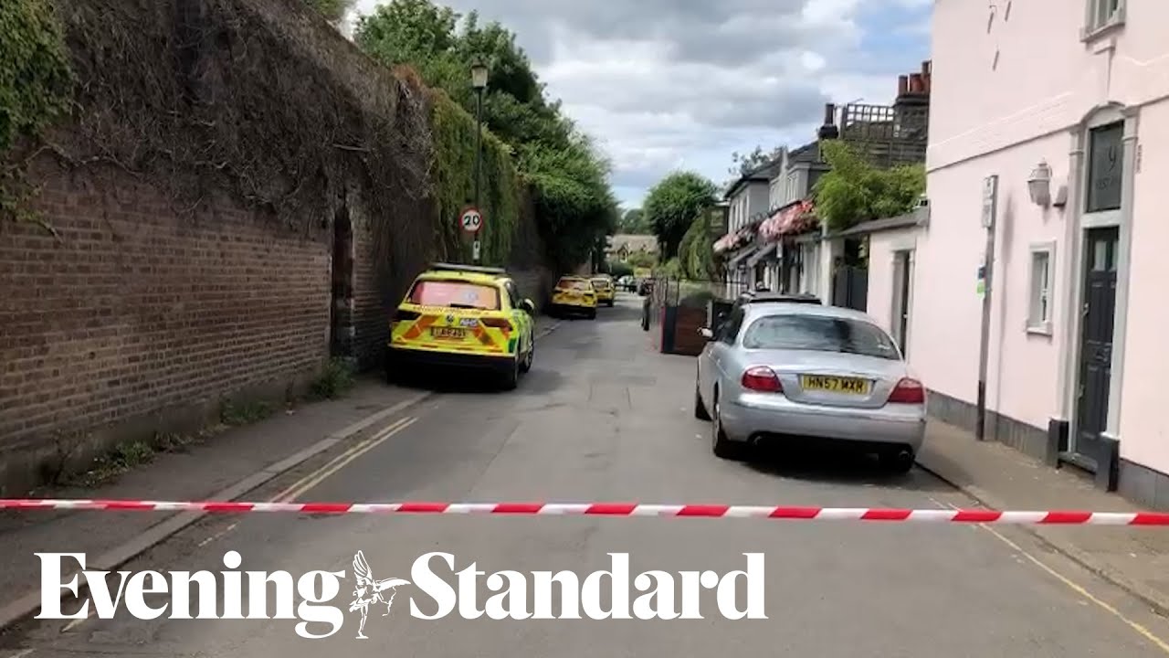 One dead and 17 injured after car crashes into Wimbledon school