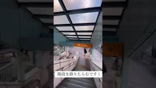 モノレール　葭川公園駅からの道順