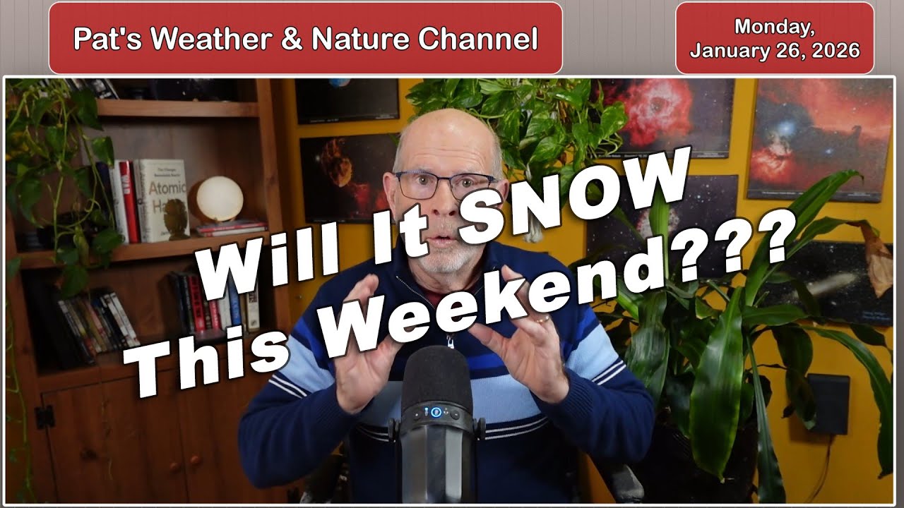 Всю эту неделю ожидаются сильные морозы, поэтому необходимо ухаживать за садом.