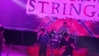 Dil Ko Tumse Pyar Hua( Soft Rock) String_Performance| ITM University Gwalior | Essence The Band | screenshot 5