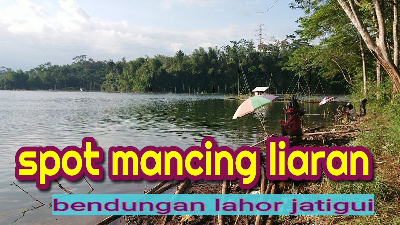 mancing liaran di bendungan lahor , jatigui sumber pucung / fishing video@HASAN DOLENtok