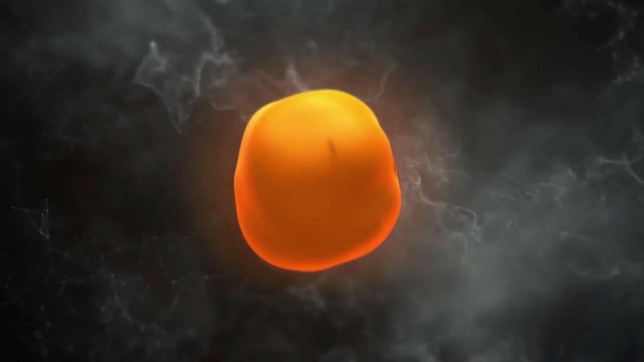 D3o Function D3O® Molecules Animation - YouTube