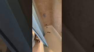 35C video tour