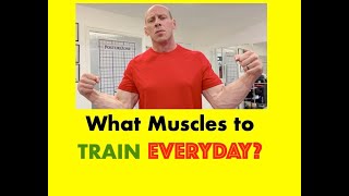 Quel groupe musculaire entraîner TOUS LES JOURS pour le bras de fer ?