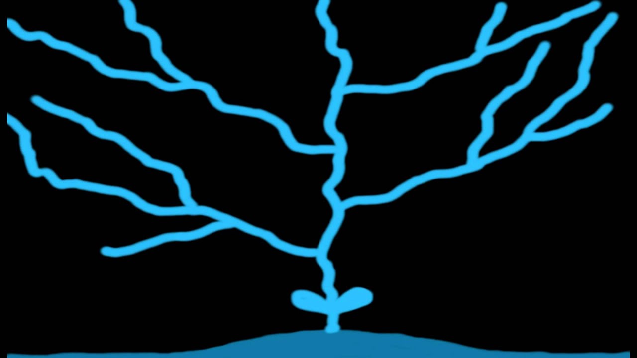 Op 50 目覚めのソナタ 1st Youtube