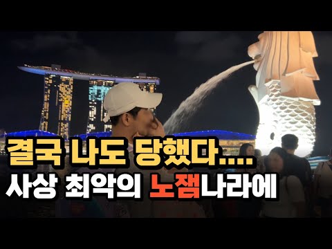 싱가포르 여행의 단점 굳이 안 가도 될 이유들 싱가폴 센토사섬 마리나베이 유니버셜스튜디오 노잼나라 