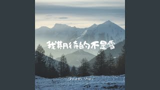 我期待的不是雪