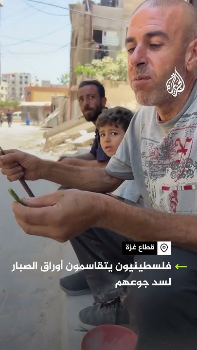      
 - نشر قبل 9 دقيقة