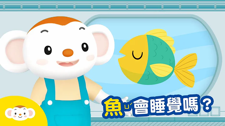 【生物小知识】鱼总是游来游去，或是停在一个地方不动！鱼会睡觉吗？｜小行星乐乐TV - 天天要闻