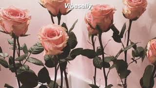 Selena Gomez - Vicio Türkçe Çeviri