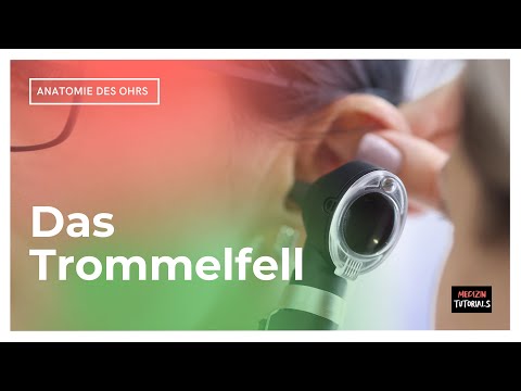 Anatomie Mittelohr – Trommelfell und die laterale Wand des Mittelohrs im Detail (Clip 3 von 7)