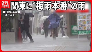 【雨】“梅雨本番”の雨に見舞われた関東  奄美地方は土砂崩れで孤立続く地区も