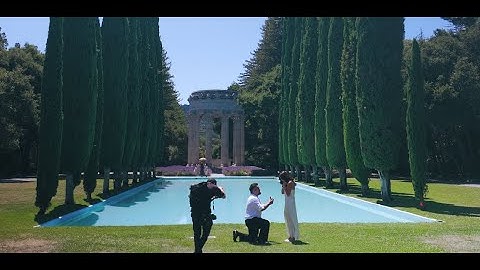 I proposed to the love of my life (1080p)