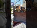 Eagle eats rabbit on bulldozer in SF May 1 2020