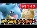 【ポケマス】ゼニガメ詐欺問題から初めてのたまごイベントだが・・・今回はこおり・かくとうタイプが目玉！【ポケモンマスターズ】