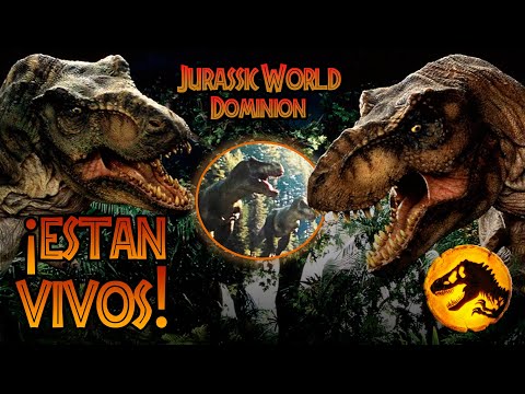 ¡¡REXY YA NO
