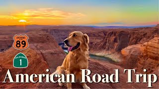 🇺🇸 EPIC 10 Day ROAD TRIP with My DOG l Big SurㅣGrand CanyonㅣAspenㅣAntelopeㅣTravelㅣLas Vegas