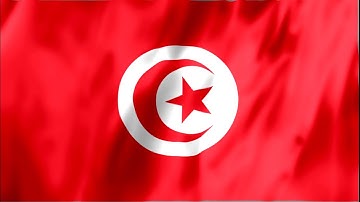 Tunisia Flag Waving | National Pride & Identity | Drapeau de la Tunisie flottant | Fierté nationale