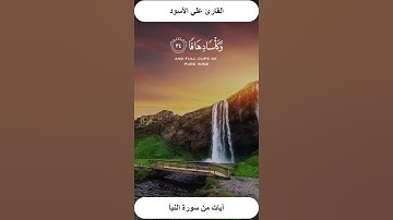 آيات من سورة النبأ بصوت القارئ علي الأسود #القرآن_الكريم #القرآن_الكريم #تلاوة_خاشعة