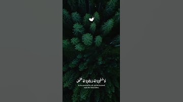ربي لا تذرني فردا 🤲 #المصحف #قران_كريم #quran #تلاوة_خاشعة #اكسبلور #تلاوه