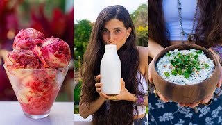Simple Dairy-Free Recipes You'll LOVE 🥛 Make Your Own Plant-Based Milk, Ice Cream, Cheese & Sauces