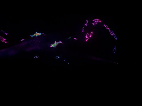 Pacific Science Center: Laser Dome Light Show - Seattle 2024 - YouTube