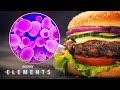 Fermentation and Future Food Technologies Quiz